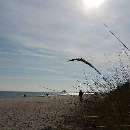 Park _ Strandna Heringsdorf (Usedom)